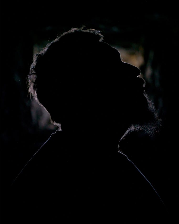 Silhouette Of Man Face With Beard