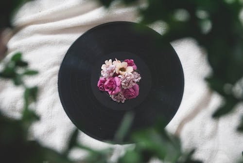 Free Photography of Flowers On Top of Vinyl Record Stock Photo