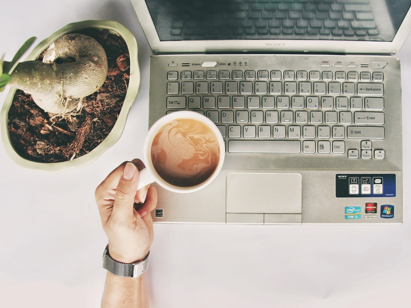 Cozy workspace with a laptop, coffee cup, and indoor plant. Perfect for productivity or study.