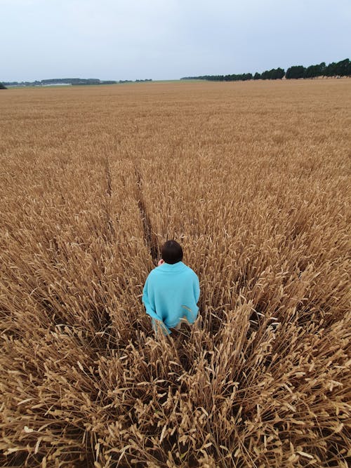 A Person Standing in Brown Wheat Field