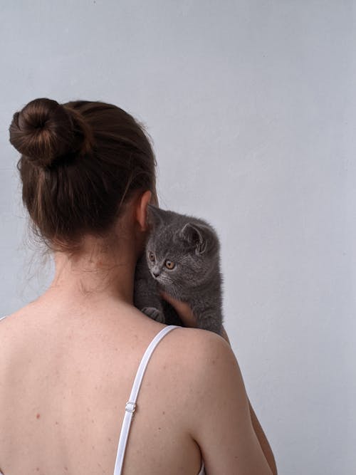 Free Back View of a Woman Holding a Gray Cat Stock Photo