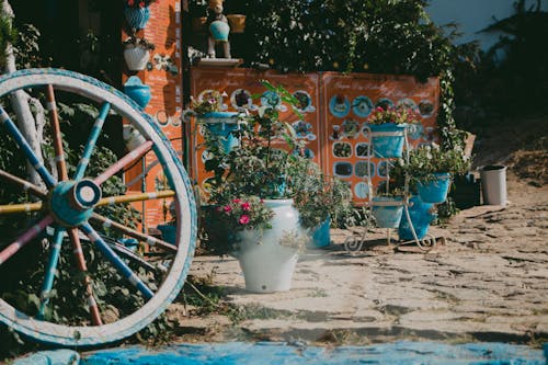 Outdoor Decoration with Flowers in Pots