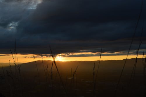 Ingyenes stockfotó arany naplemente, búza, ég témában