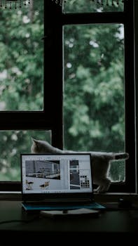 A white cat walks by a window with a laptop displaying design software, creating a serene indoor scene.