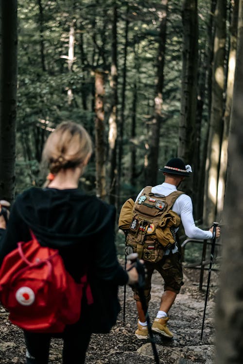 Free stock photo of adventure, backpack, carrying