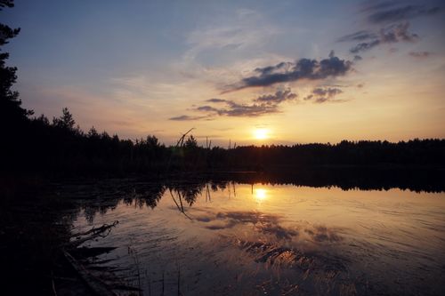 Free A peaceful sunset over a tranquil lake with trees silhouetted against the horizon, reflecting vibrant colors. Stock Photo