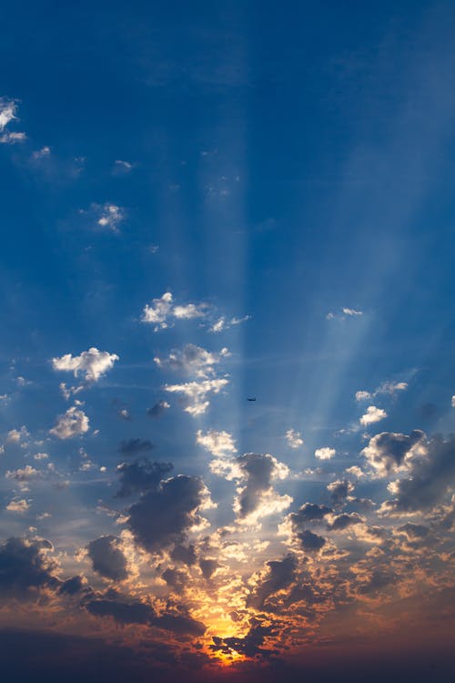 Бесплатное стоковое фото с вертикальный выстрел, восход, голубое небо