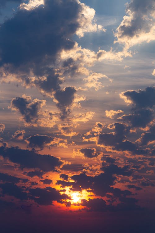Бесплатное стоковое фото с багровое небо, вечер, высокий