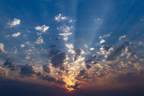 Бесплатное стоковое фото с багровое небо, вечер, высокий