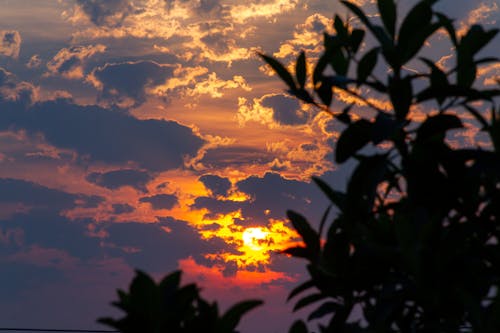Бесплатное стоковое фото с багровое небо, закат, золотое солнце