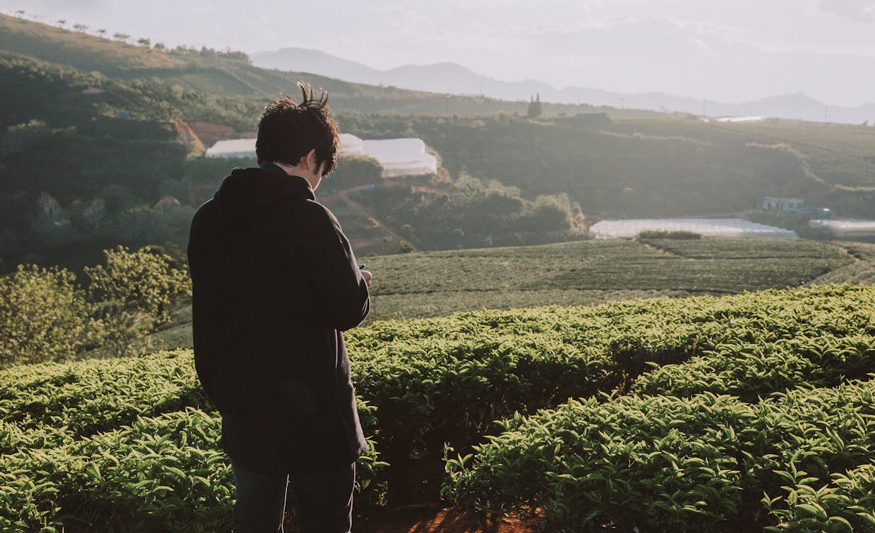 Man Standing on Green Field