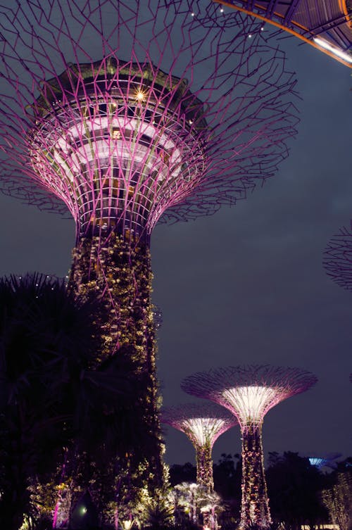 Δωρεάν στοκ φωτογραφιών με Σιγκαπούρη