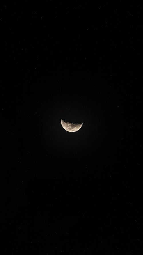 Half Moon in Dark Night Sky