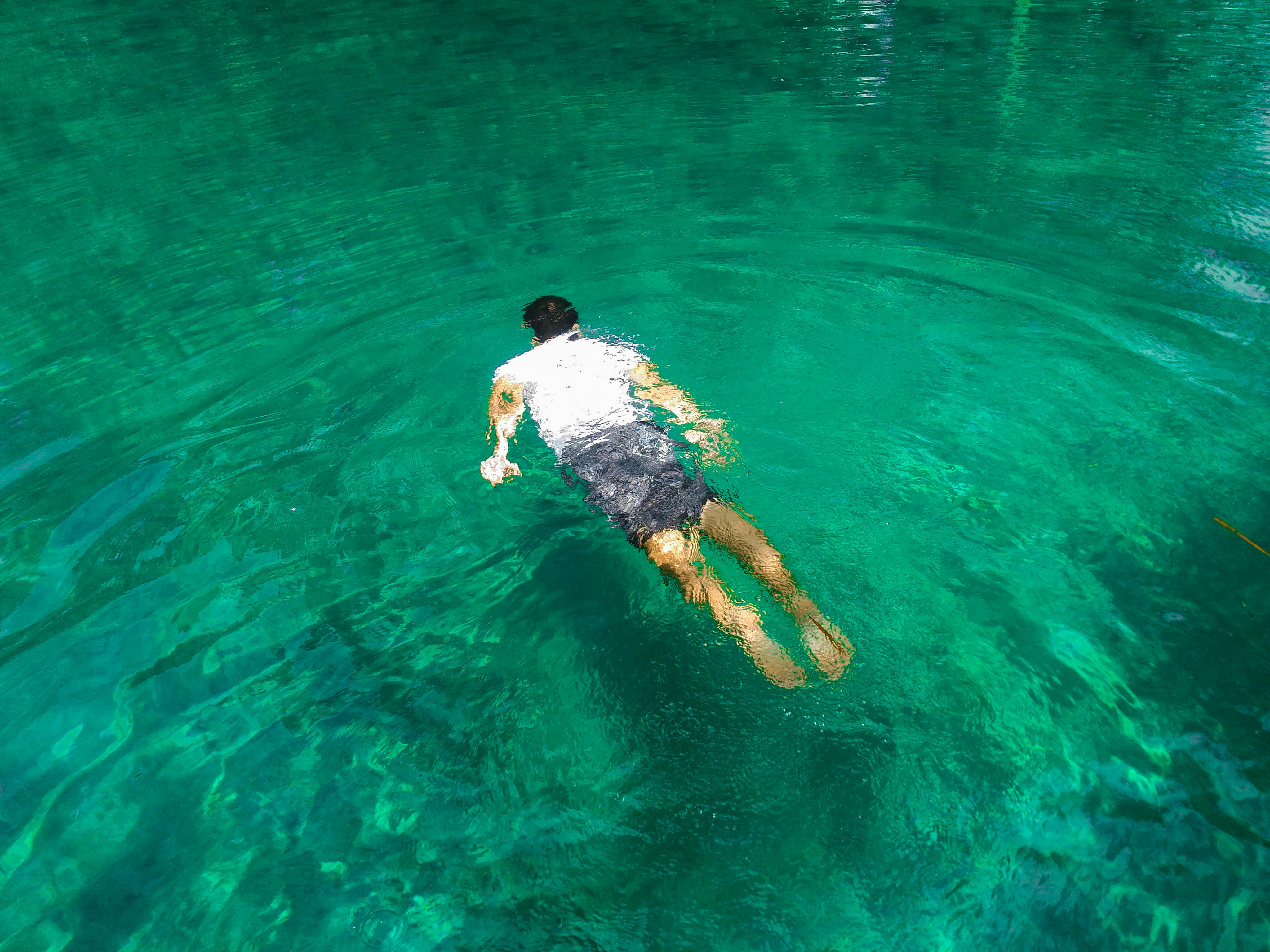 Photo of Man Swimming On Clear Water · Free Stock Photo