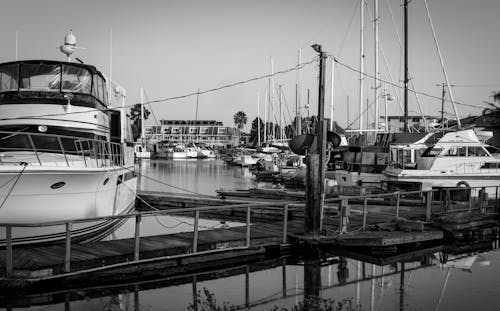 Free Grayscale Photo of Boats on Docking Area Stock Photo