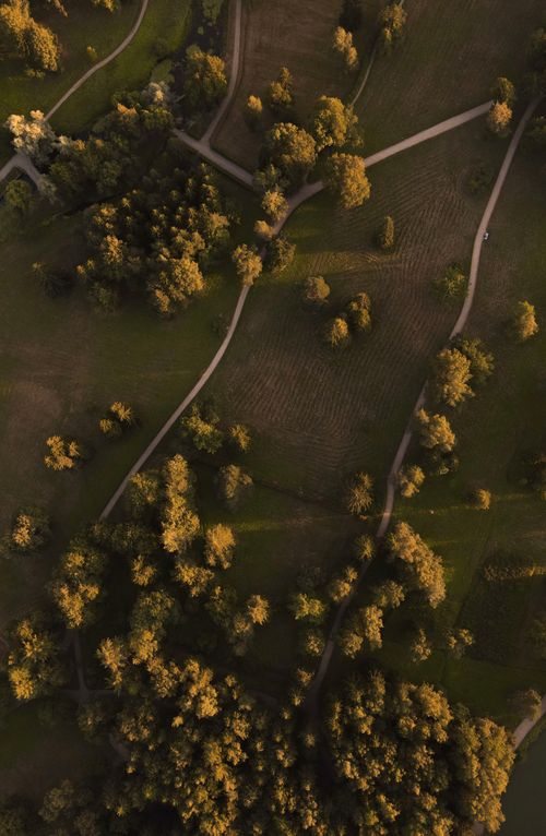 Free An aerial shot capturing a green landscape adorned with trees and pathways in soft daylight. Stock Photo