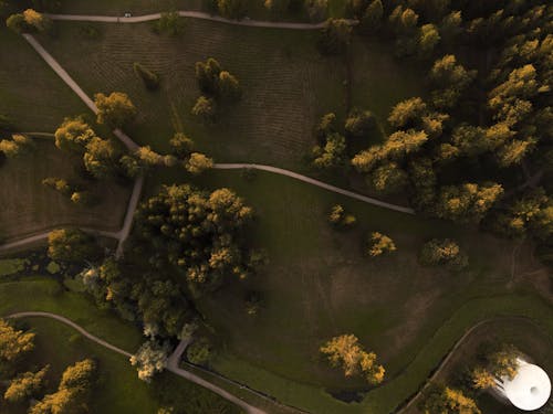 Fotos de stock gratuitas de arboles, campos, foto con dron