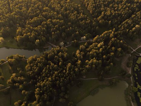 Drone shot capturing a dense forest with a tranquil lake, showcasing nature's vast beauty at sunset.