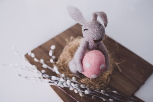 Close-up Photo of Bunny Plush Toy