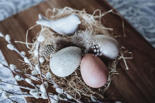 Free A close-up of a decorative nest with quail eggs and pussy willow branches, perfect for Easter. Stock Photo