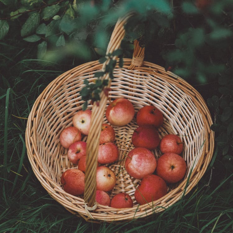 Red Apples On Brown Woven Basket