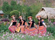 在一片花海中，四名妇女身穿鲜艳的传统服装