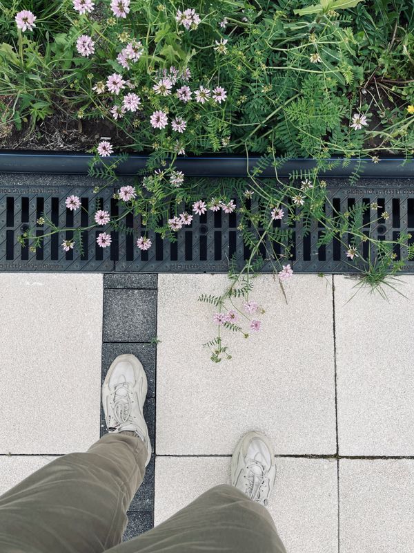 French drain