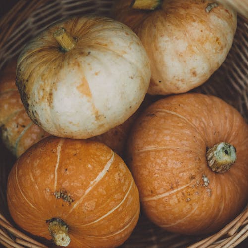 Close-Up Shot of Pumpkins in a Basket