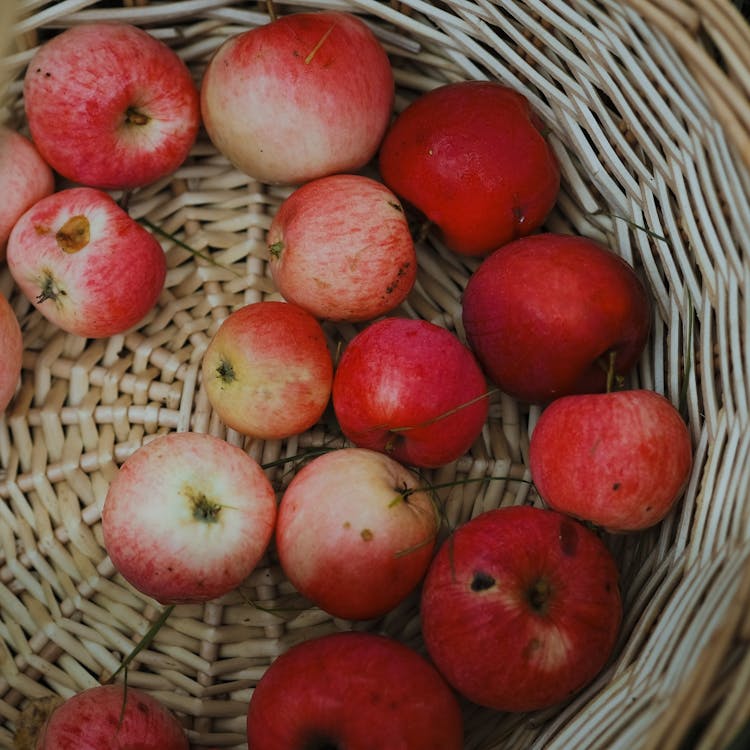 Fresh Red Apples in the Basket