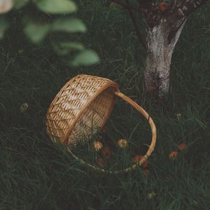 The basket tipped on its side beside the trunk. Photo by Nikolaeva Nastia on Pexels