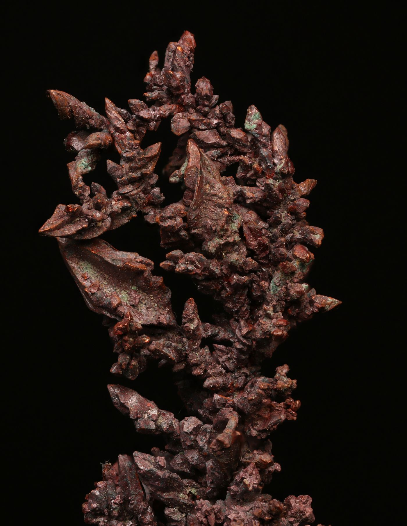 02 / MATERIAL STUDY