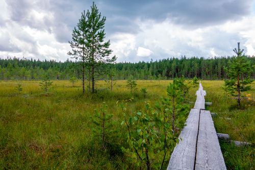 Free Explore the tranquil Finnish countryside with lush green fields and a scenic wooden pathway. Stock Photo
