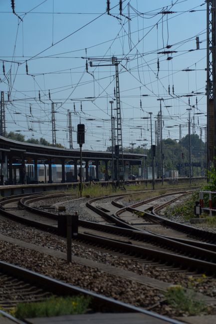 Fotomural Vista de múltiples vías de tren convergiendo en una estación de tren bajo cables aéreos.