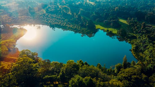 Foto stok gratis Afrika, air biru, Bagikan