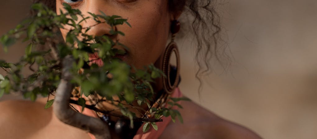 A person holding a small bonsai tree near their face, advertising Bonsaii premium bonsai trees, care, tips and gifts.