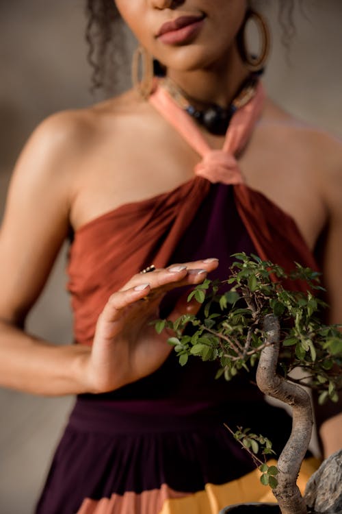 A Woman in Red Tube Dress Holding a Green Plant