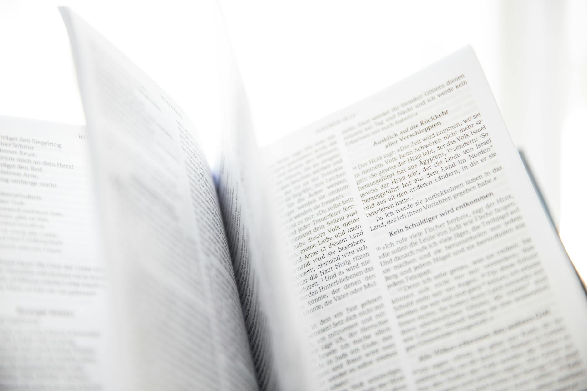Como Usar um Tradutor de Texto Online: Dicas e Limites