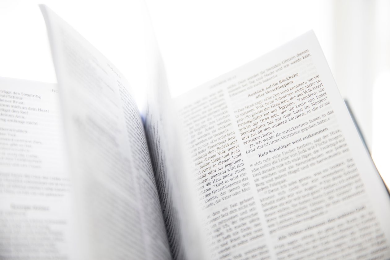 A swan feather resting on an open Bible page in soft window light.