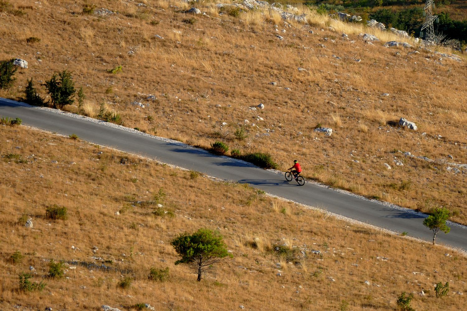 Single Cylist Single Cyclist Photos, Download The BEST Free Single Cyclist Stock ...