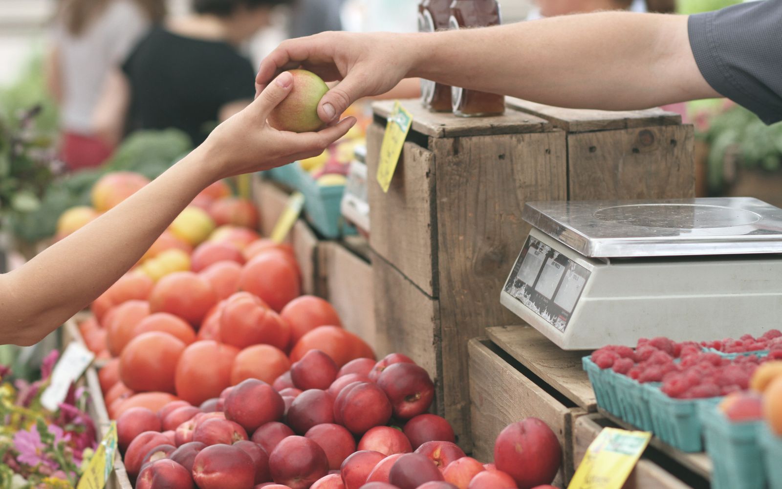 Farmers Market