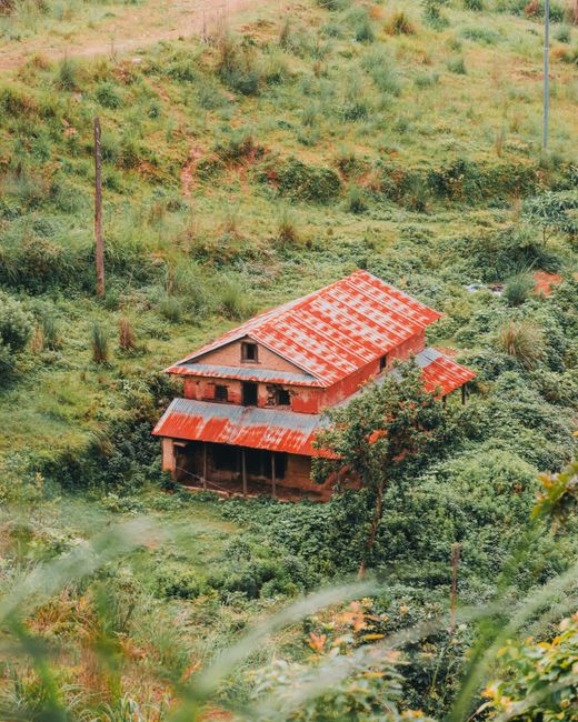 Weathered wooden house surrounded by dense greenery in rural Butwal, Nepal.