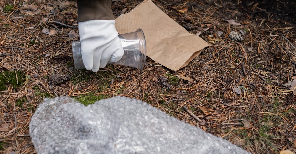 9 consejos para incorporar la Responsabilidad Social Empresarial en PyMEs 9 consejos para incorporar la Responsabilidad Social Empresarial en PyMEs