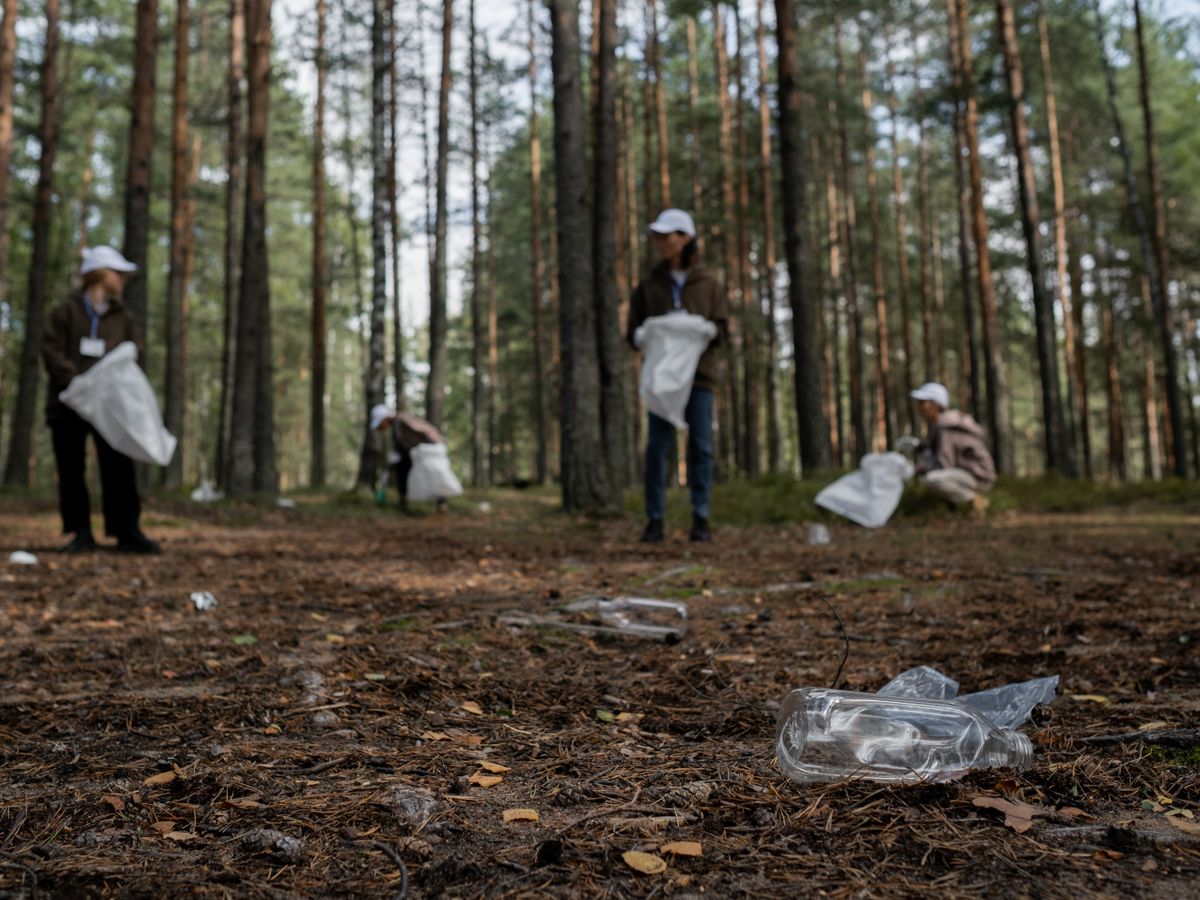 숲길 플로깅 단체 활동