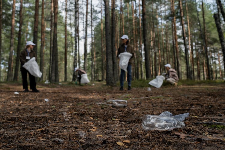 A Cleanup Community Picking Up Recyclables In The Forest