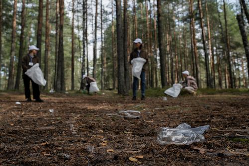 Free Volunteers picking up trash in a forest to promote environmental awareness and care. Stock Photo