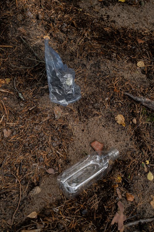 Clear Glass Bottle on Brown Dried Leaves