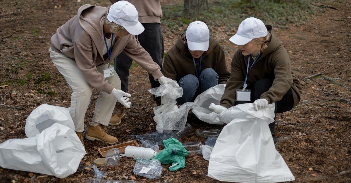 Group of People doing an Environmental Cleanup · Free Stock Photo