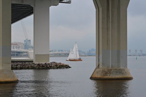 Gratis lagerfoto af betonkonstruktion, bro, fod Lagerfoto