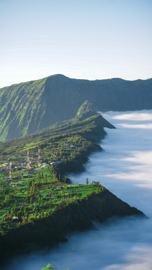 优美的风景, 垂直拍摄, 天性 的 免费素材图片