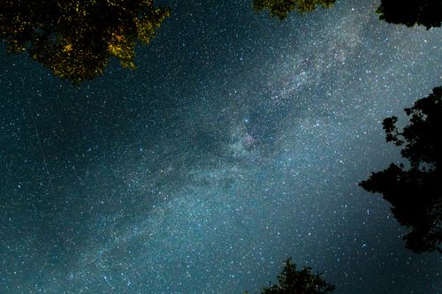 Free Capture of the stunning Milky Way amidst a clear starry night sky with tree silhouettes framing the view. Stock Photo